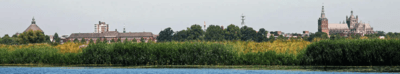 dommel